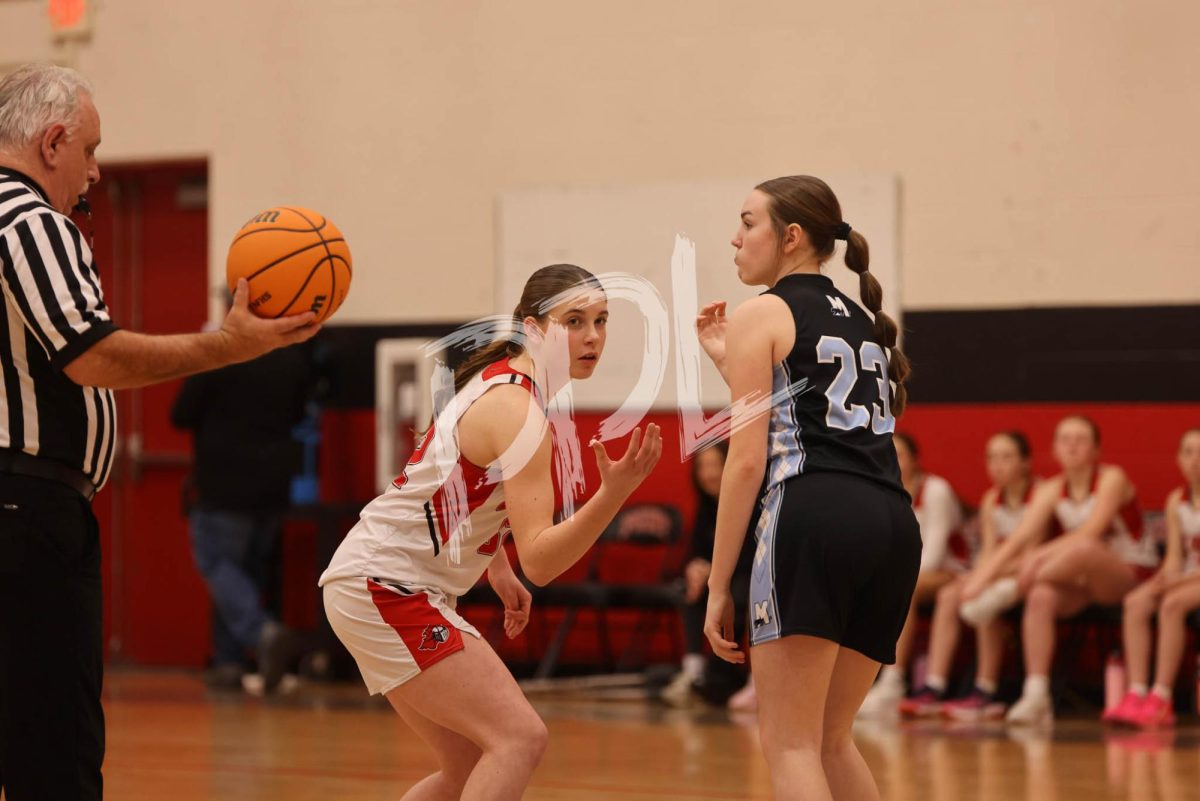 Photos Available 2-5-26